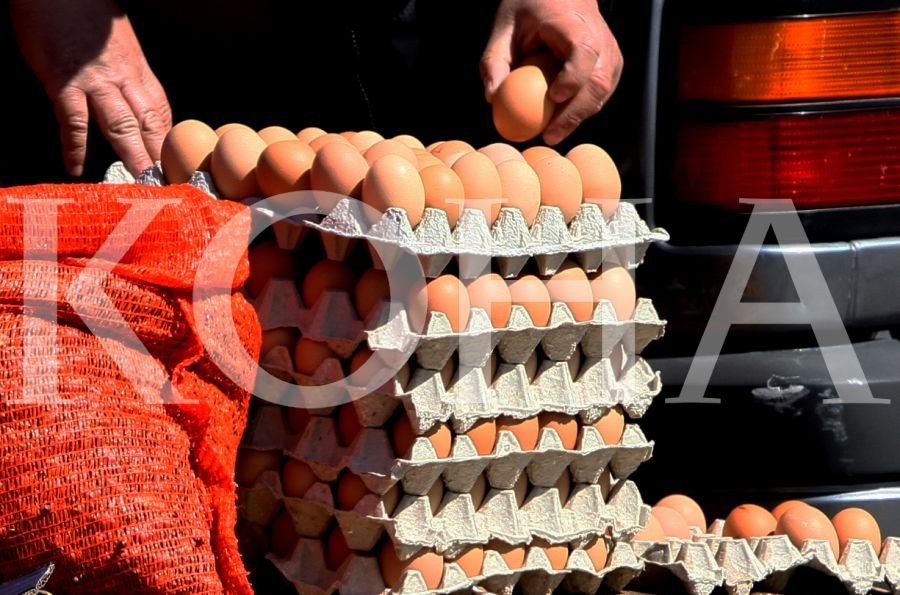 Importi i vezëve nga Serbia është i ndaluar,cilat janë arsyet tregon  Gjinovci