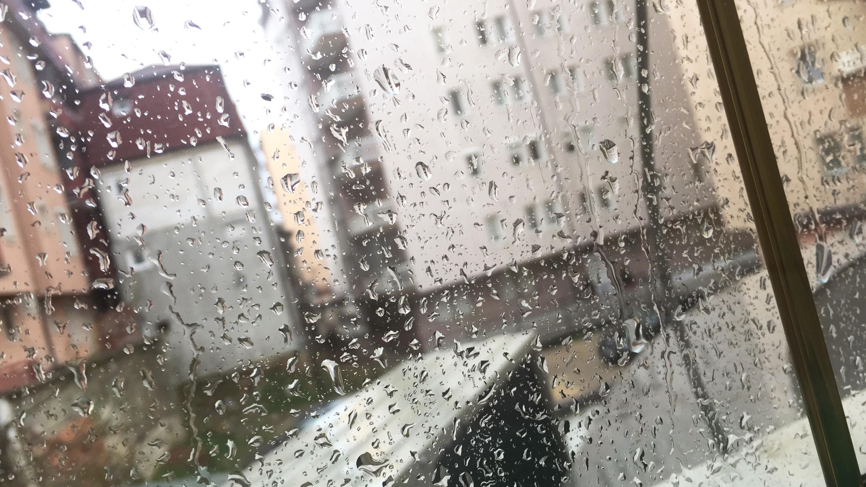 Reshje shiu priten sot në Kosovë