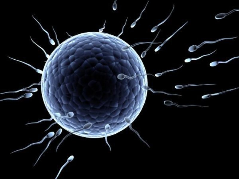 Zbulohet teknika për të mbrojtur fertilitetin tek djemtë me kancer