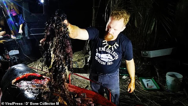 Balenës së ngordhur iu gjet 40 kilogramë plastikë në bark