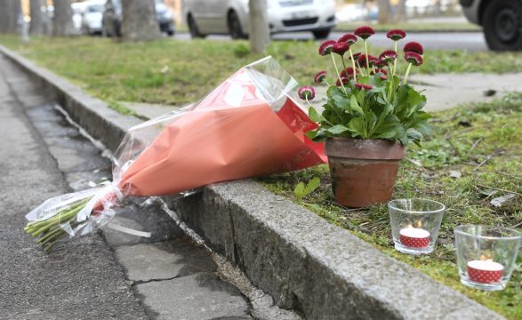 Shtatë vjeçari shqiptar vritet nga zvicerania 75 vjeçare