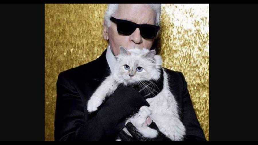 Macja “bosse” u bë trashëgimtarja e pasurisë së Karl Lagerfeld