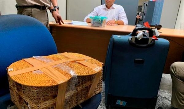 Arrestohet në mes të aeroportit 27-vjeçari, e pabesueshme se çka kishte futur në valixhe