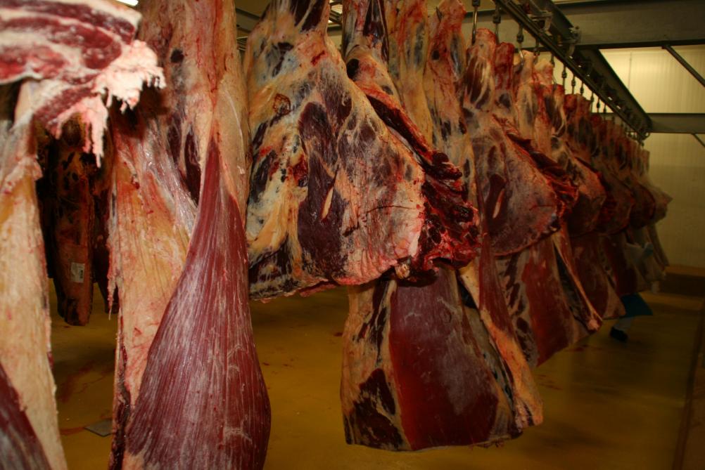 Ky është vendimi për kompaninë belge që eksportoi mish të prishur në Kosovë