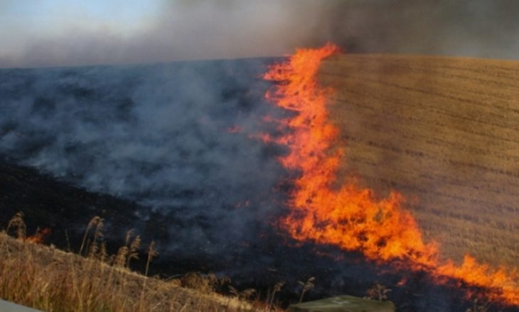 Policia e Kosovës paralajmëron dënime për ndezjen e zjarreve në natyrë