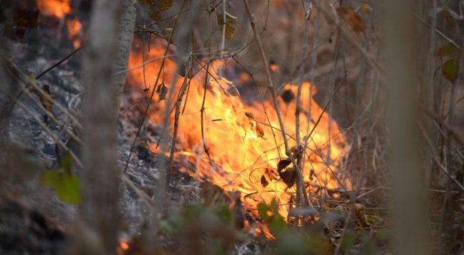 Pyjet në disa zona të Podujevës përfshihen nga zjarri