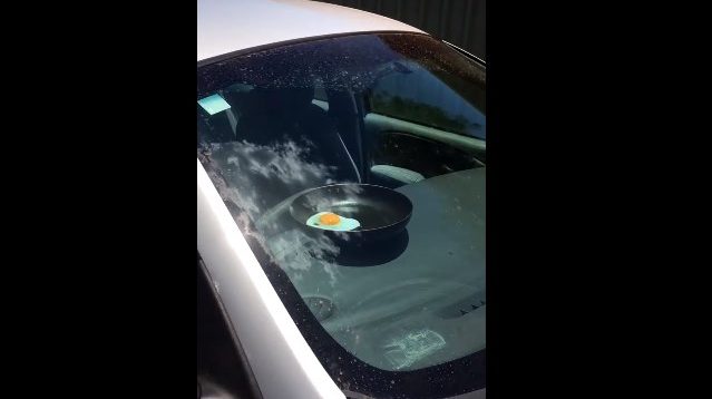 Nga temperaturat e larta, fërgon vezën brenda veturës (video)