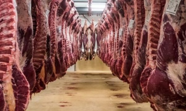 Ekspertët zviceranë me rekomandime rreth përdorimit të mishit
