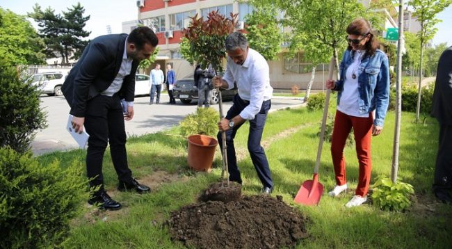 Lumezi, i  bashkohet fushatës “Mbill një Pemë”