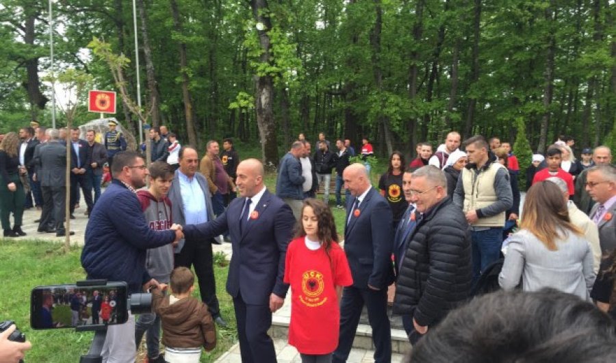 Haradinaj: S’di për vërtetësinë e fotografisë që e publikoi Brovina, por dhunime ka pasur
