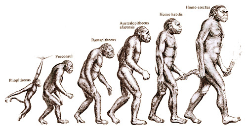 Studimi: Njerëzit dhe Neandertalët, evoluan nga një paraardhës misterioz i përbashkët