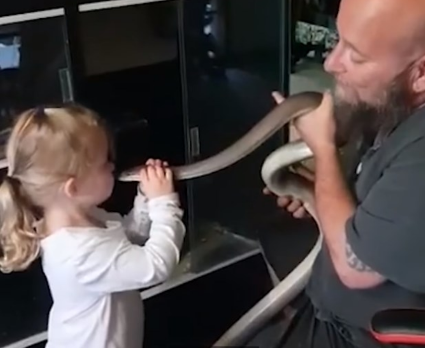 E trishtueshme: Vogëlushja e përqafon dhe puthë gjarprin