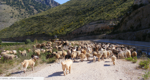 15 dele ‘regjistrohen’ në shkollën franceze, kjo është arsyeja