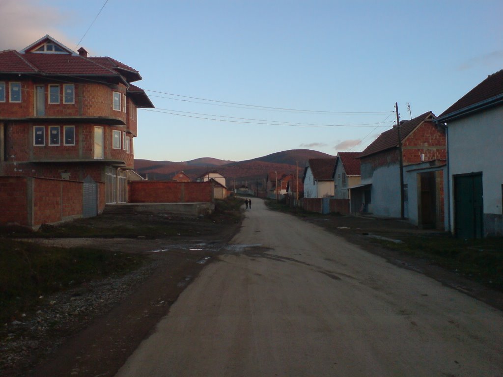 Gjarpërinjtë ia pushtojnë shtëpinë, familja Ahmeti nga Resinoci ka mbetur në oborr