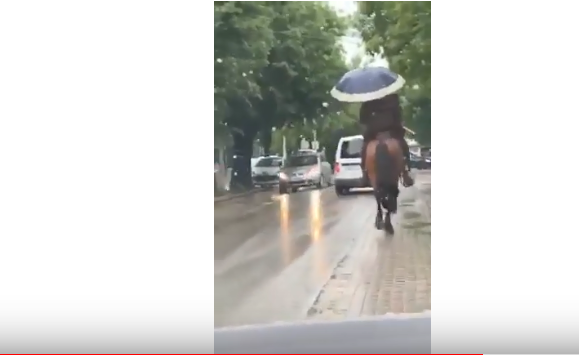 Për Bajram, qytetari kalëron midis Podujevës në shi me ombrellë