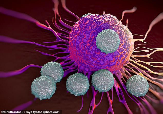 Shkenca zbulon medikamentin që mund t’i eliminojë të gjitha qelizat e kancerit