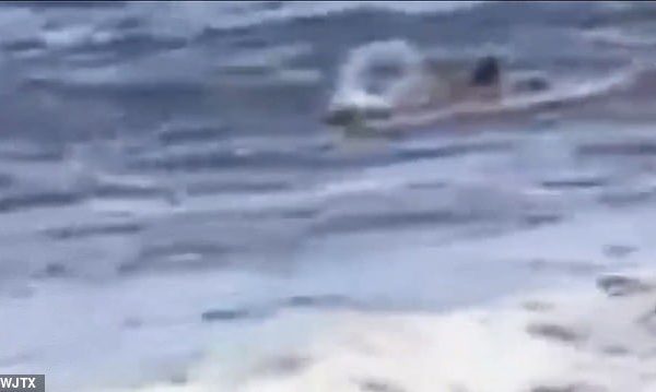 Surfisti u kafshua nga peshkaqeni dhe në vend se të shkonte në spital shkon në bar