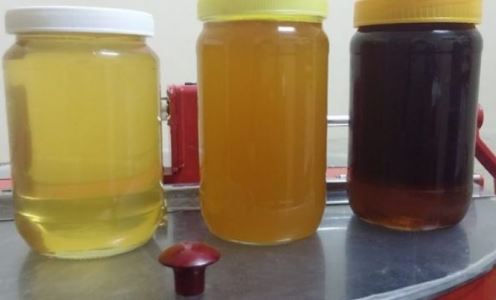 3 kavanoza mjaltë u bënë shkak i burgosjes së një personi
