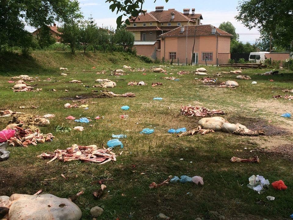 Hamiti e quan masakër therjen e kurbanëve