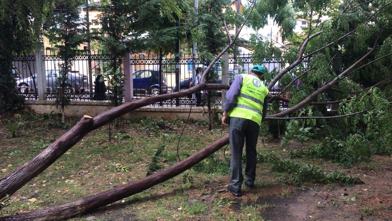 ​Pas tërmetit Tirana kthehet në normalitet, hapen shkollat, kopshtet dhe çerdhet