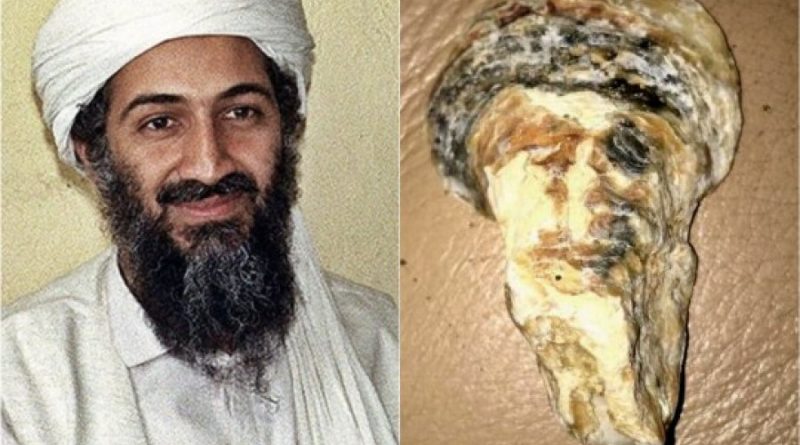 Osama bin Laden është “ringjallur” në një guaskë deti