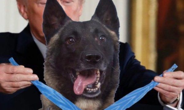 Trump nderon me medalje qenin hero, e publikon një fotografi të rreme
