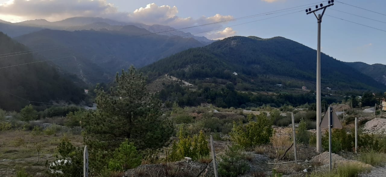 Vrasje në Mirditë, trupi i 34-vjeçarit gjendet në mes të arës