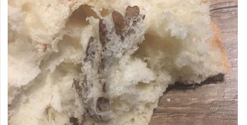 E tmerrshme: Mitrovicasi gjen gjethe në bukë