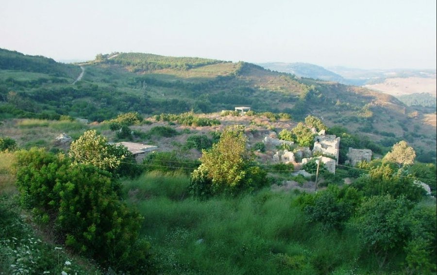 Shkoi për të prerë dru në pyll, vdes një person në rrethana të panjohura në Podujevë