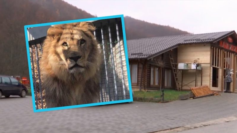 Luani në Kosovë: Flet pronari i restorantit në Gjilan, tregon se a e ka kontrabanduar