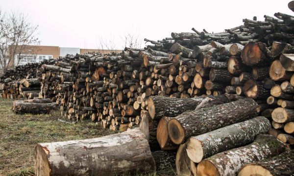 Komuna e Ferizajt ndihmon 150 familje me drunj për ngrohje