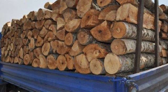 Arrestohet një person duke vjedhur pesë metra dru