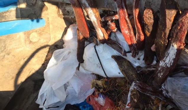 Konfiskohen produkte të prishura në “Viva Fresh Store”