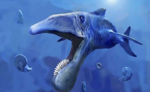 Zbulohet fosili i peshkut gjigant parahistorik me dhëmbë rrethorë  – foto