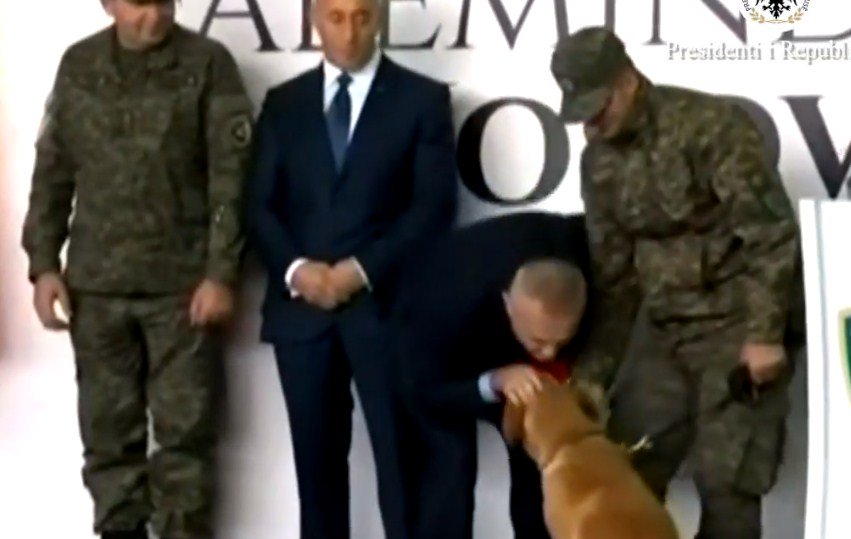 Meta puth dhe dekoron edhe qenin e forcave të shpëtimit të Kosovës