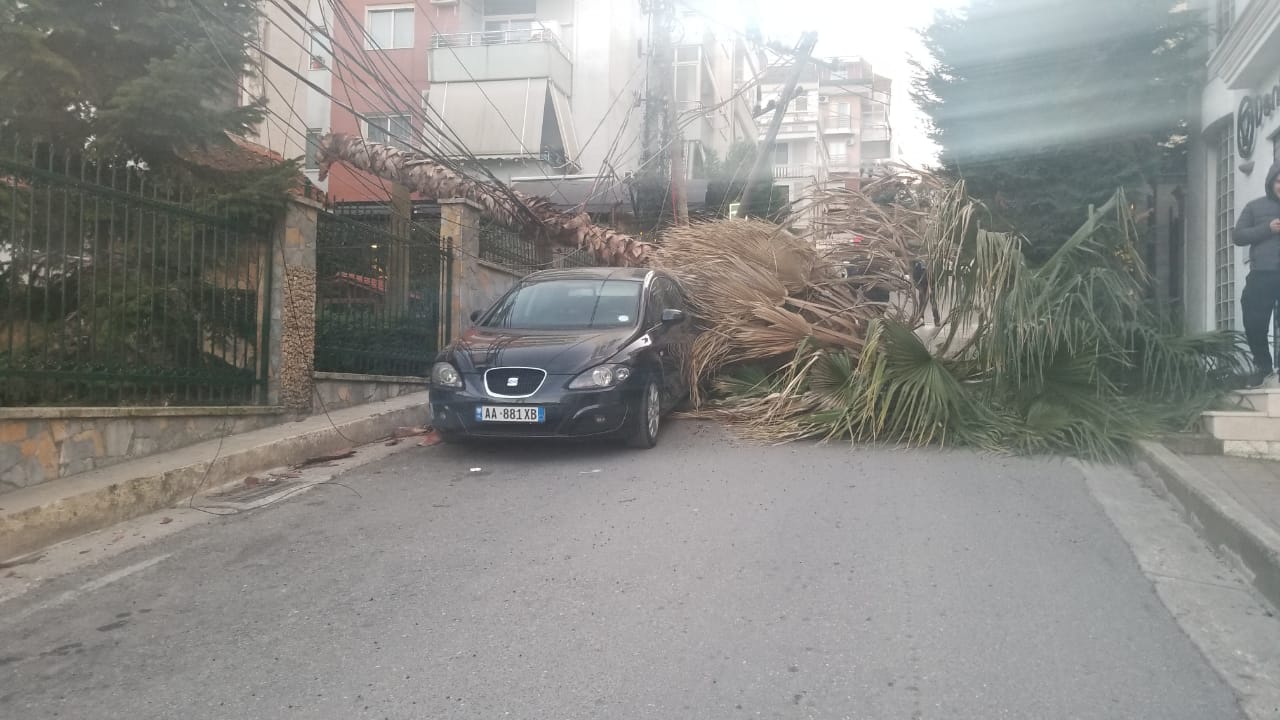 Era bën kërdinë, rrëzohen pemët dhe bien mbi makinat e parkuara (FOTO)
