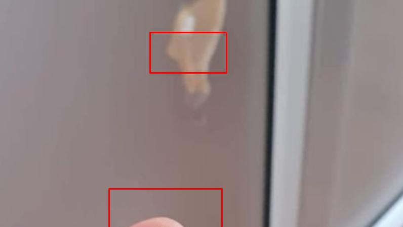 E tmerrshme: Plumbi i futet në shtëpi derisa po festonin Vitin e Ri