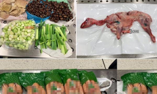 “Zakonet e shqiptarit” Shikoni se çfarë dalin nga çantat në aeroportin e SHBA-ve