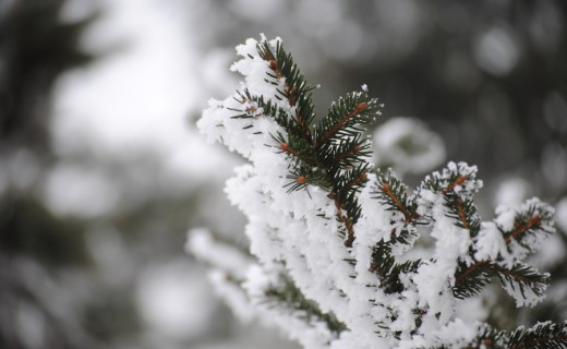 Ja si do të jetë moti për këtë javë