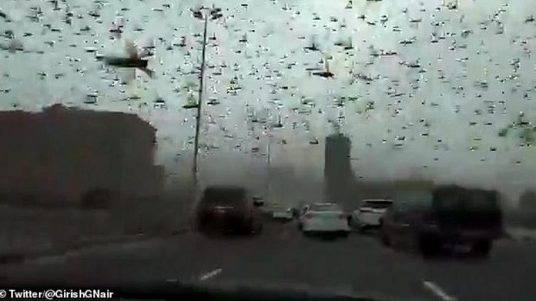 Karkaleca të shumtë e bllokuan trafikun në Bahrein, pas një stuhie të fuqishme nga Arabia Saudite