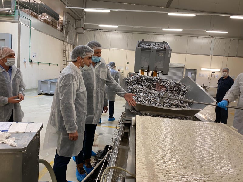 Me ndërtimin e fabrikës së peshkut në Vushtrri pritet të punësohen 200 persona