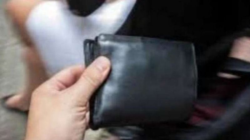 Pamje se si hajni në Prishtinë vjedh kuletën