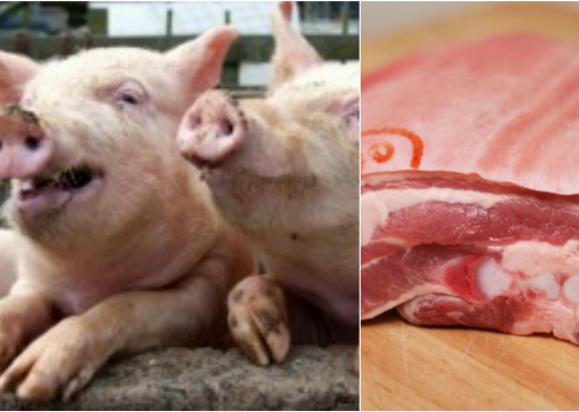Konfiskohet sasi e madhe e mishit të derrit në Ferizaj, arrestohen tre persona