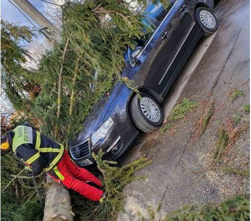 Stuhia në Gjermani preku edhe familjen e politikanit kosovar