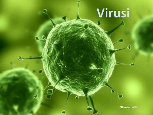 Çështja kryesore të cilën duhet ta bëni për të krijuar imunitet rezistues ndaj coronavirusit