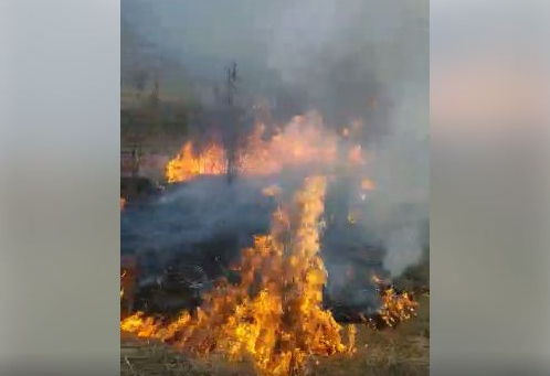 Zjarrvënie në Halabak të Podujevës: Digjen disa fusha