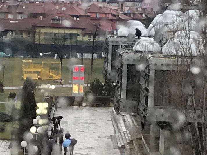 Policia ngjitet mbi çatinë e bibliotekës, personi që tentonte vetëvrasjen fshihet