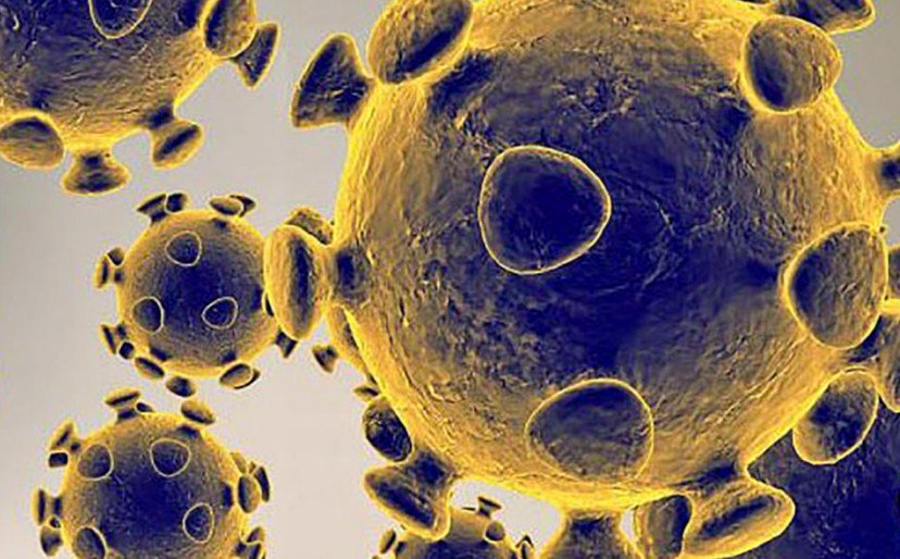 COVID-19, i shndërron qelizat e pacientit në “fabrika të viruseve”