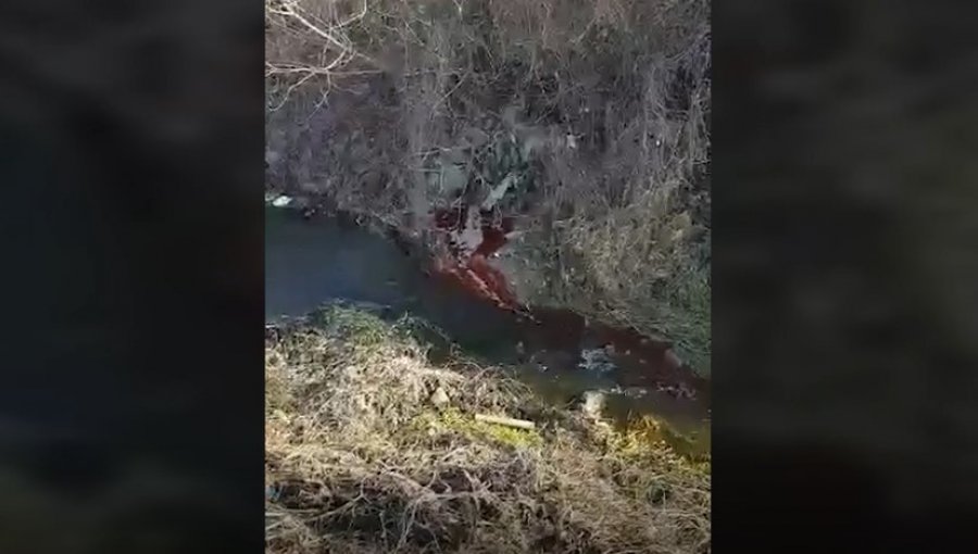 Mishtorja hedh gjakun e kafshëve të therura në lumin e fshatit Pasjak