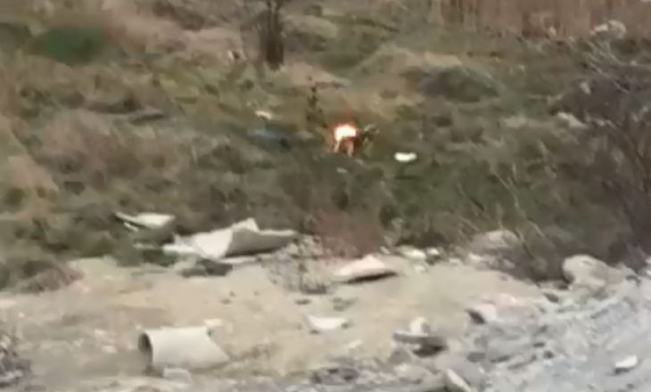 E tmerrshme: Disa të rinj nga Mitrovica i vënë flakën qenit -“E kish pas koronën ky”